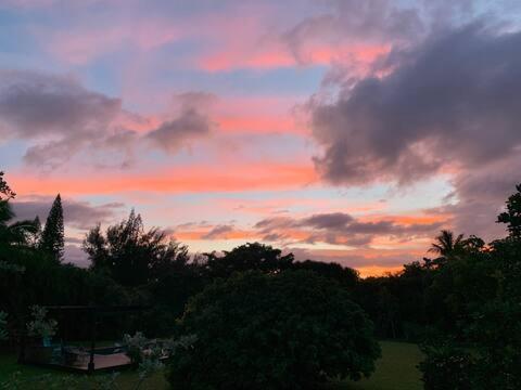North Shore Garden Suite Haleiwa Eksteriør billede