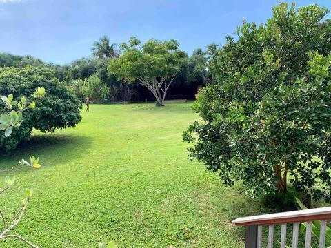 North Shore Garden Suite Haleiwa Eksteriør billede